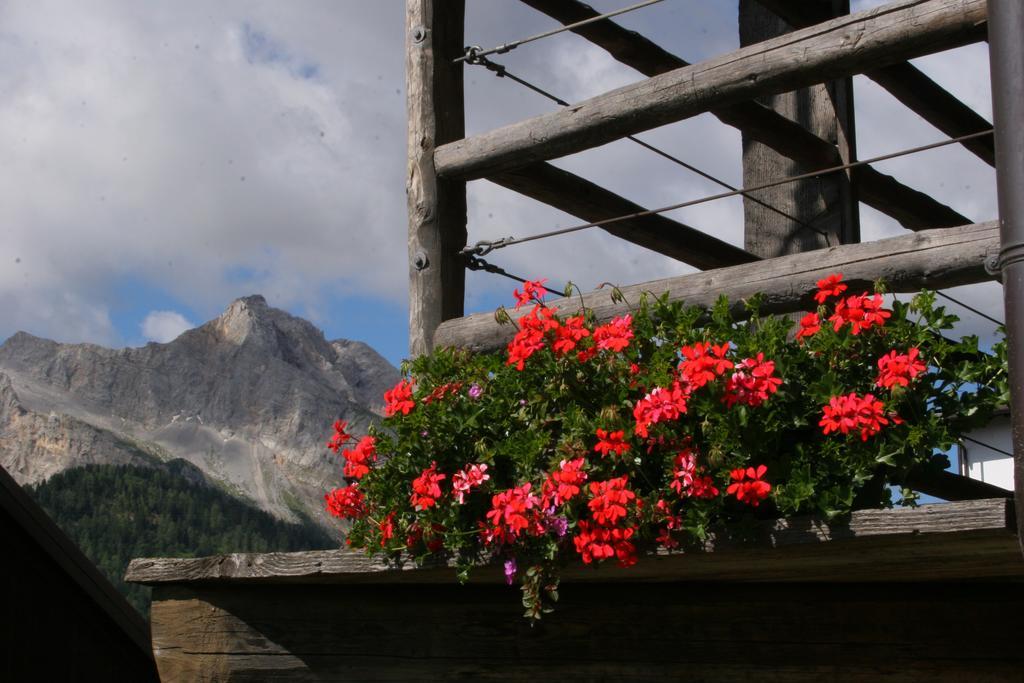 Albergo Diffuso Sauris In Sauris Di Sopra ภายนอก รูปภาพ